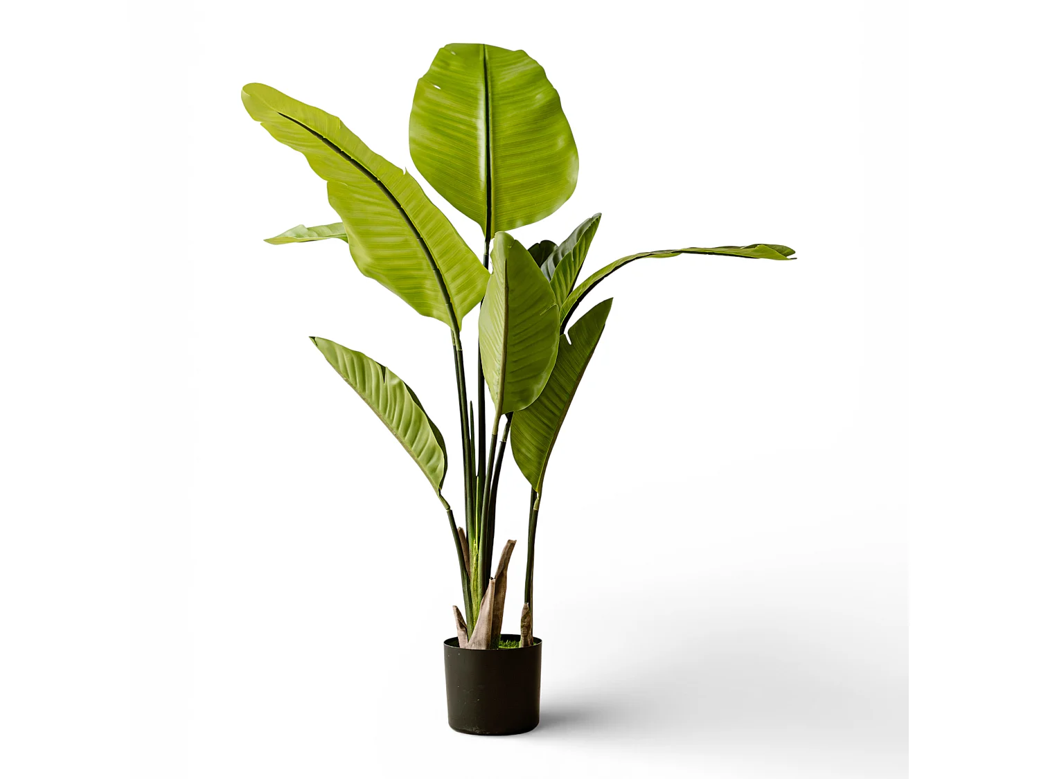 Künstliche Strelitzia 120 cm - Grün - Realistische Blätter ohne Pflegeaufwand - Indore Home