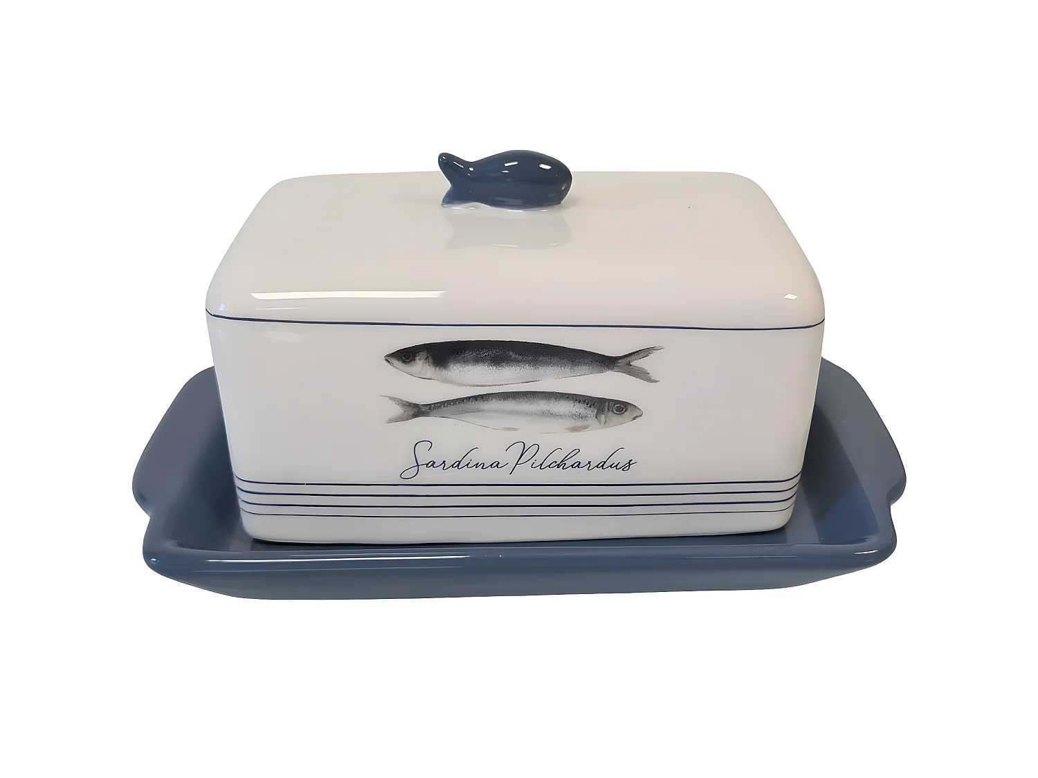 Beurrier en céramique sardina pilchardus