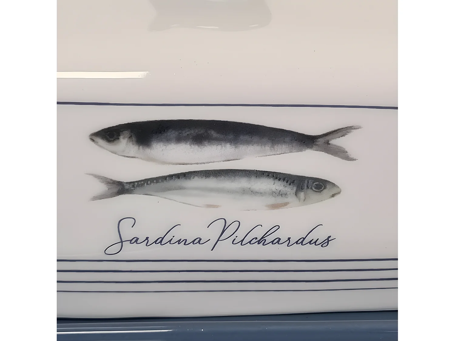 Beurrier en céramique sardina pilchardus