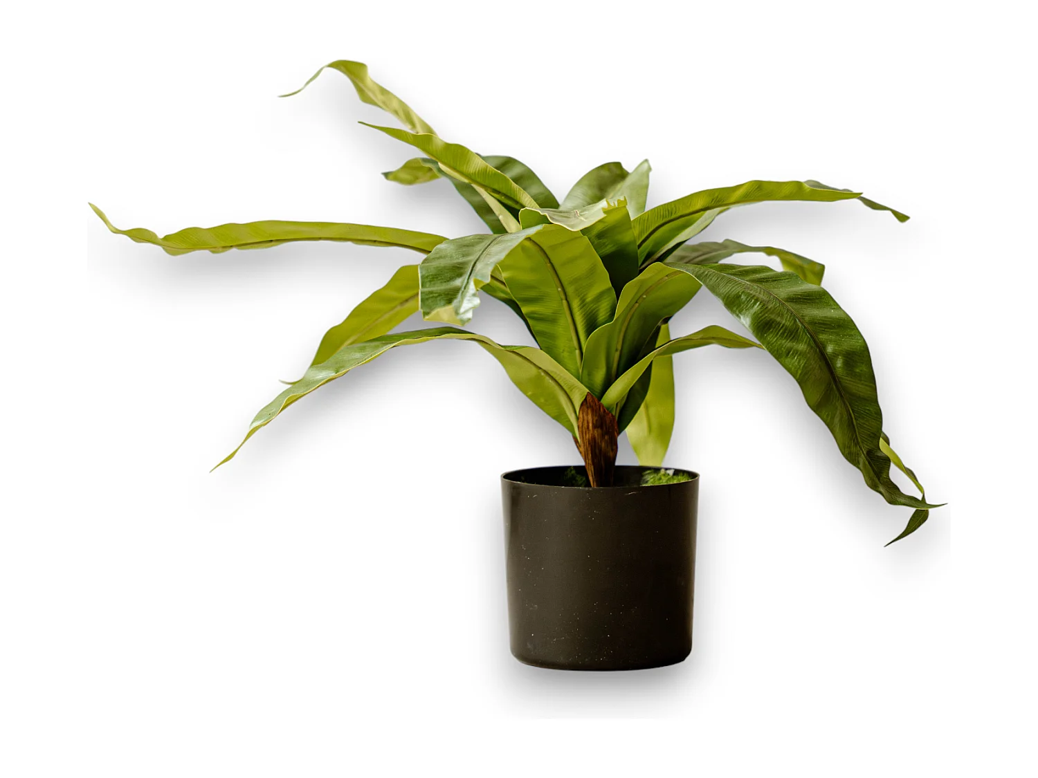 Künstliche Farn 60 cm - Grün - Realistische Blätter ohne Pflegeaufwand - Indore Home