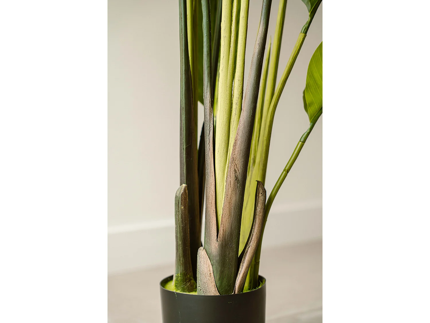 Künstliche Strelitzia 150 cm - Grün - Realistische Blätter ohne Pflegeaufwand - Indore Home
