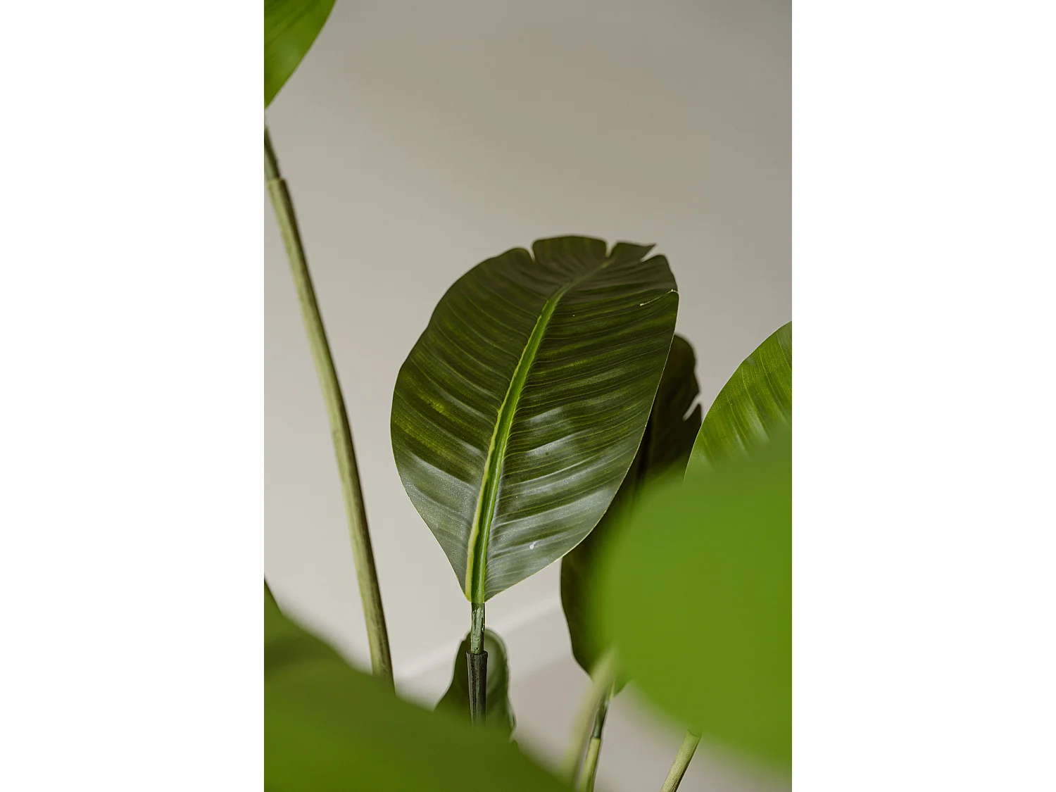 Künstliche Strelitzia 150 cm - Grün - Realistische Blätter ohne Pflegeaufwand - Indore Home
