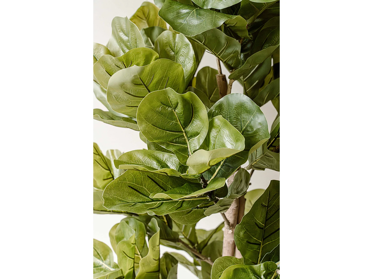 Plante artificielle Figuier 150 cm - Vert - Feuillage réaliste sans entretien - Indore Home