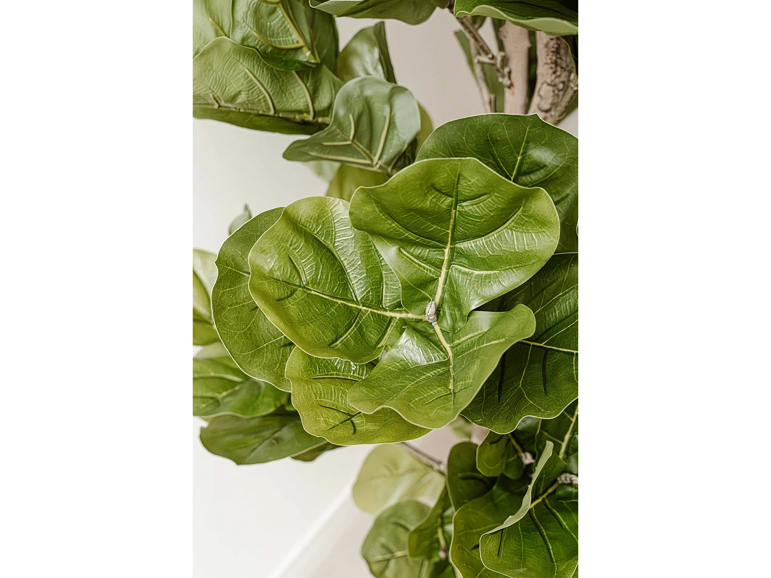 Plante artificielle Figuier 150 cm - Vert - Feuillage réaliste sans entretien - Indore Home