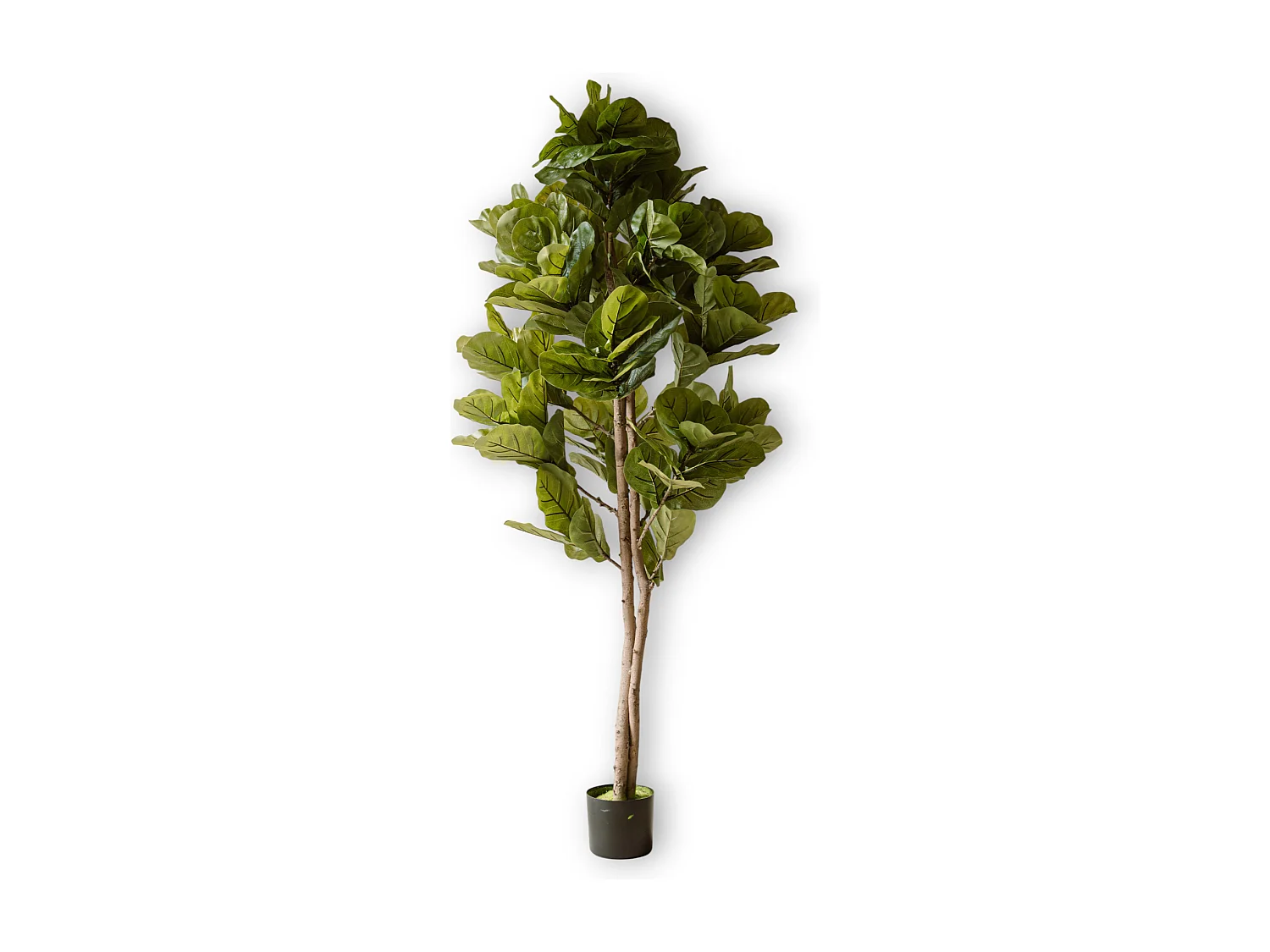 Plante artificielle Figuier 150 cm - Vert - Feuillage réaliste sans entretien - Indore Home