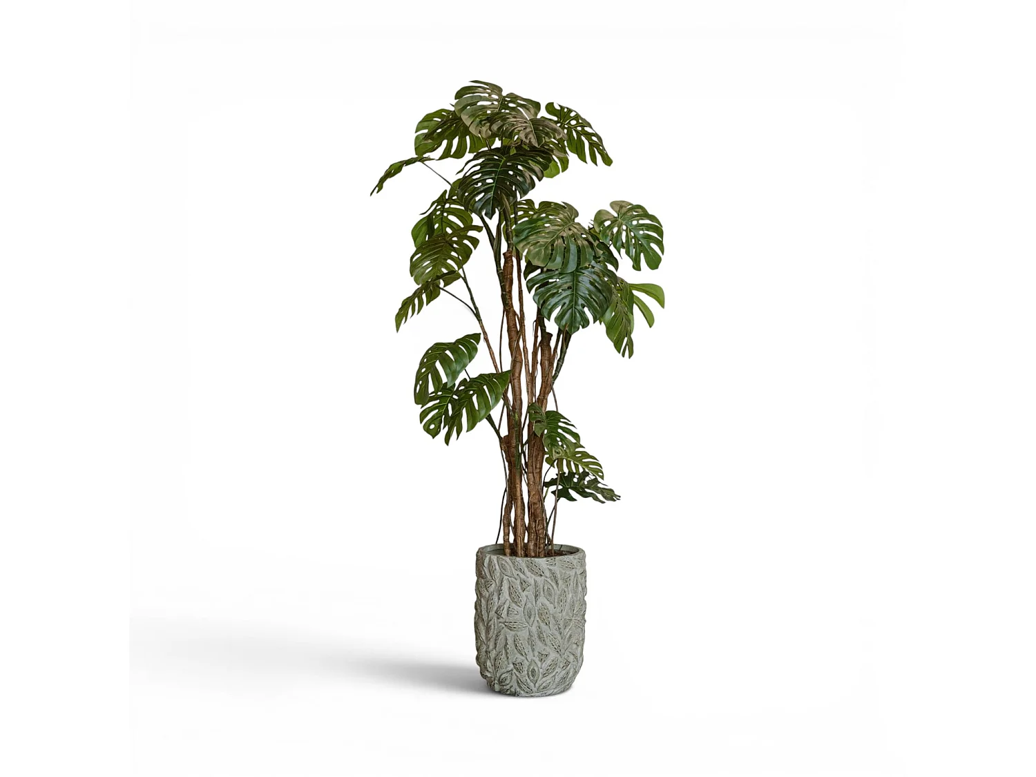Künstliche Monstera 240 cm - Grün - Realistische Blätter ohne Pflegeaufwand - Indore Home