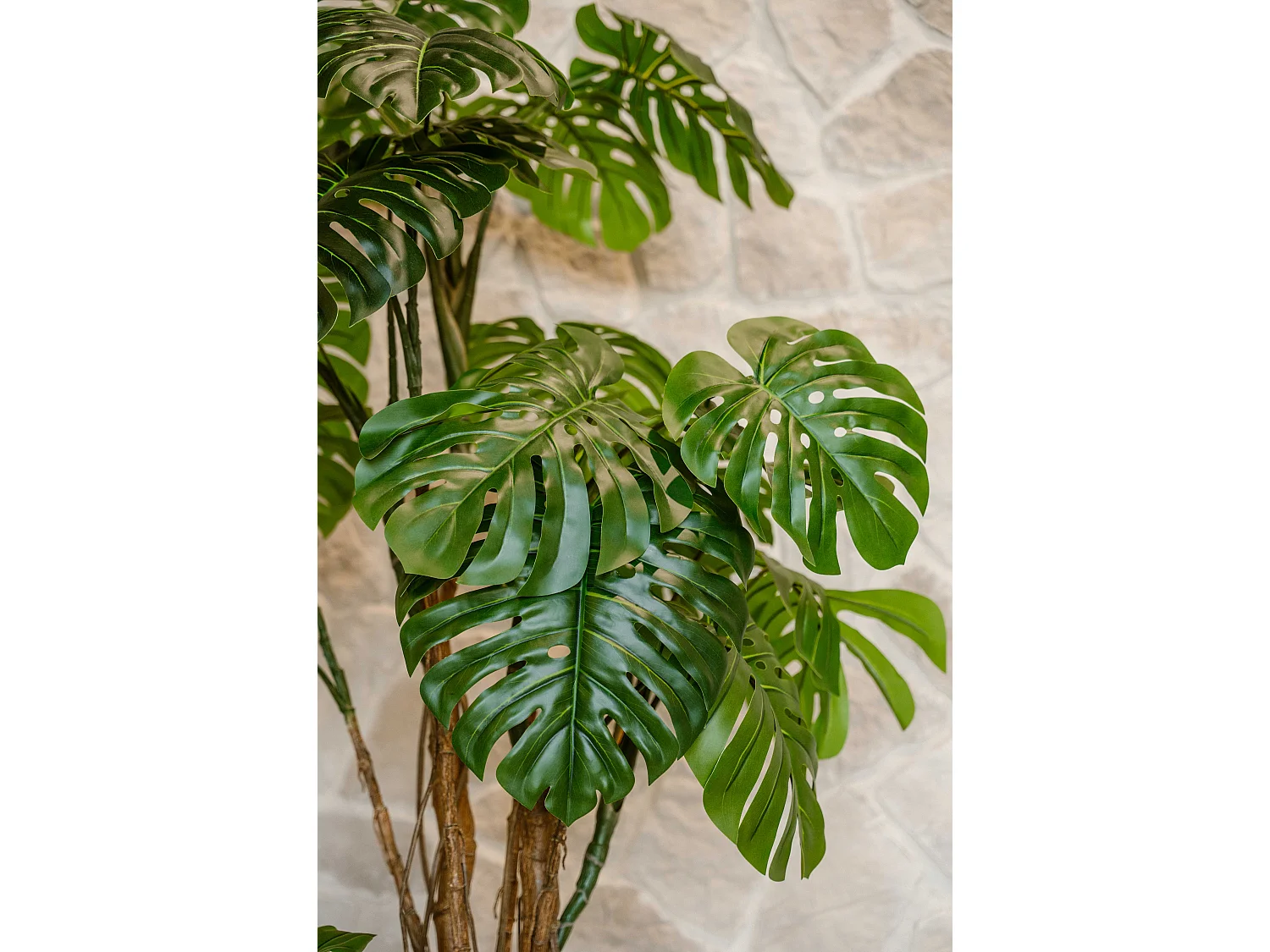 Künstliche Monstera 240 cm - Grün - Realistische Blätter ohne Pflegeaufwand - Indore Home