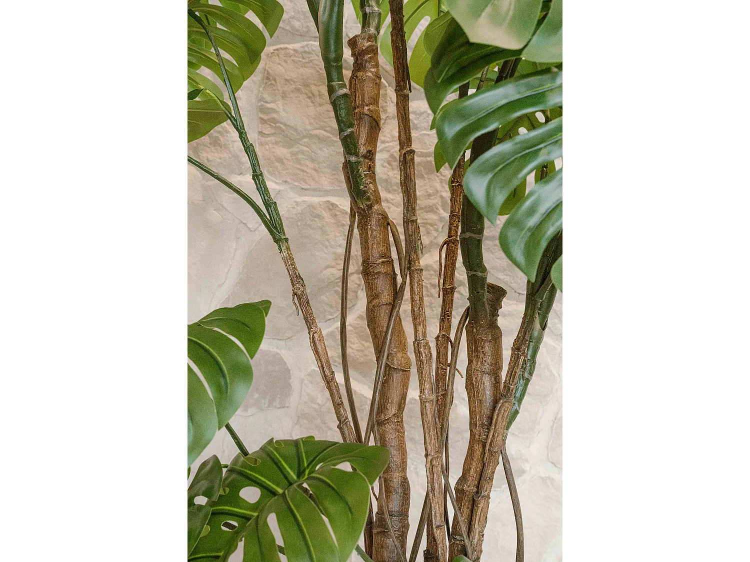 Künstliche Monstera 240 cm - Grün - Realistische Blätter ohne Pflegeaufwand - Indore Home