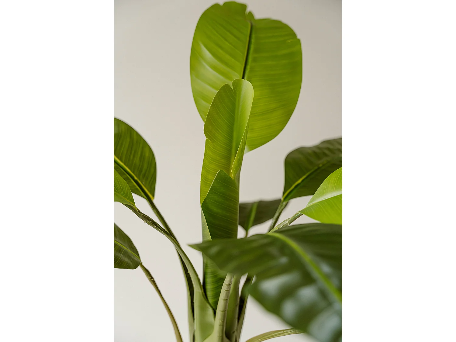 Künstliche Bananenpflanze 120 cm - Grün - Realistische Blätter ohne Pflegeaufwand - Indore Home
