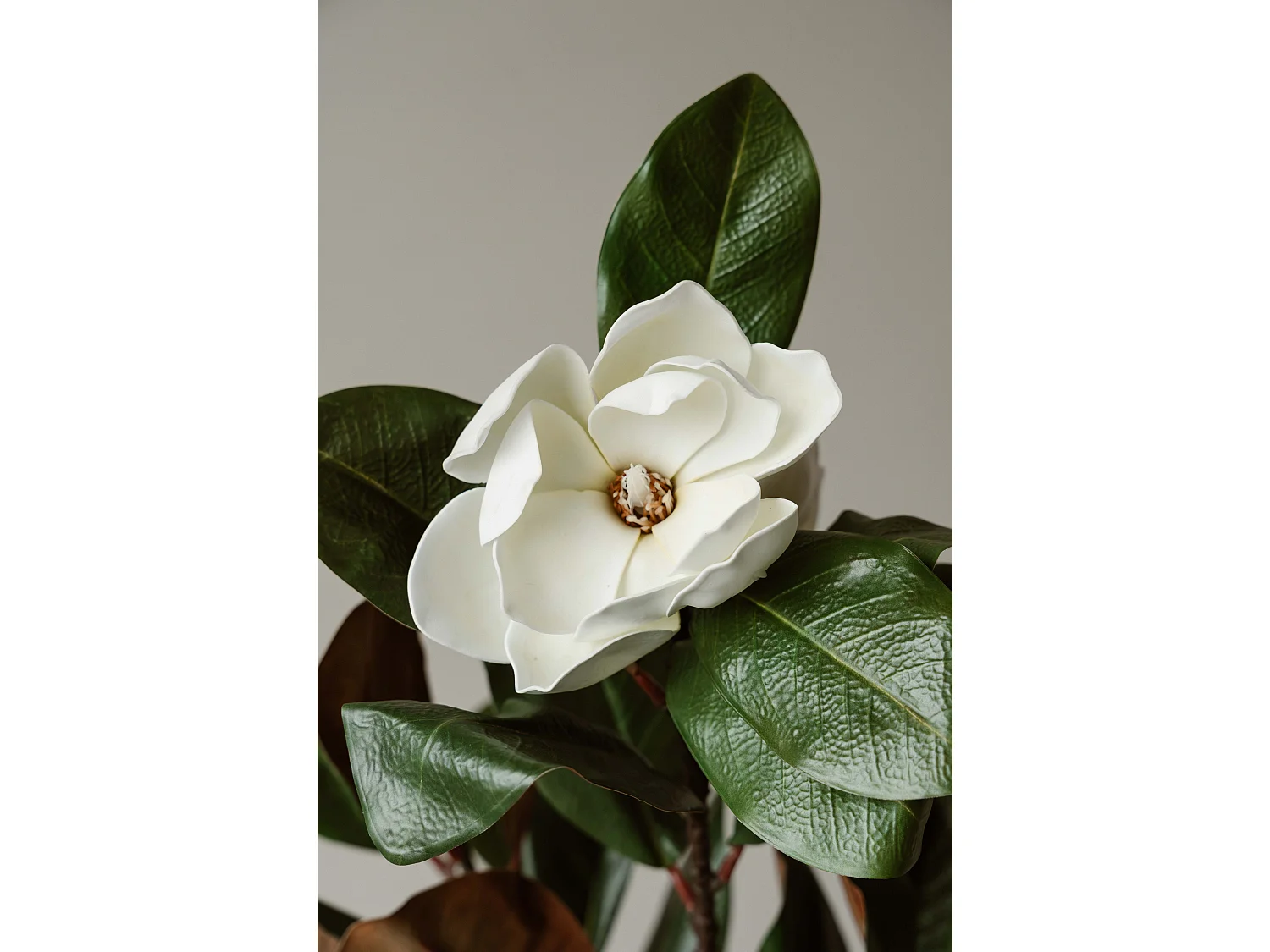Künstliche Magnolie 120 cm - Grün - Realistische Blätter ohne Pflegeaufwand - Indore Home