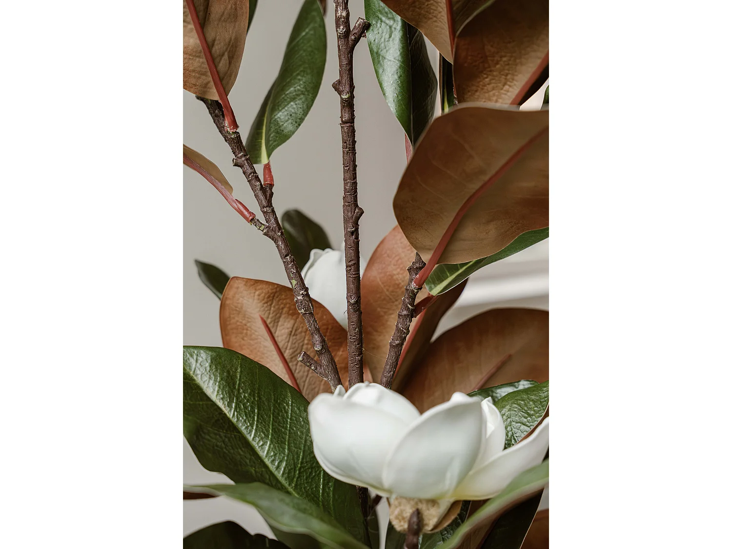 Künstliche Magnolie 120 cm - Grün - Realistische Blätter ohne Pflegeaufwand - Indore Home