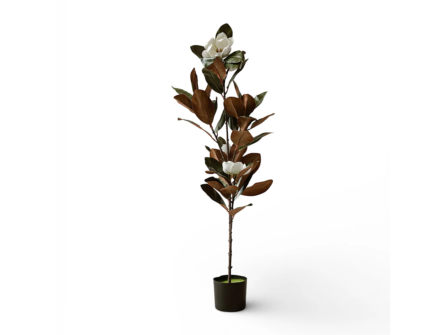 Künstliche Magnolie 120 cm - Grün - Realistische Blätter ohne Pflegeaufwand - Indore Home