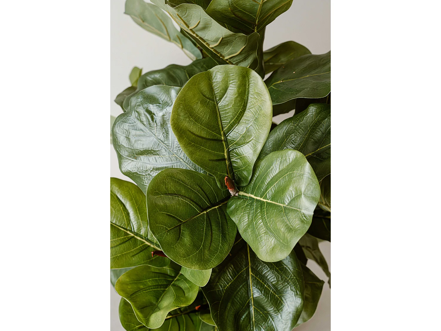 Plante artificielle Figuier 90 cm - Vert - Feuillage réaliste sans entretien - Indore Home