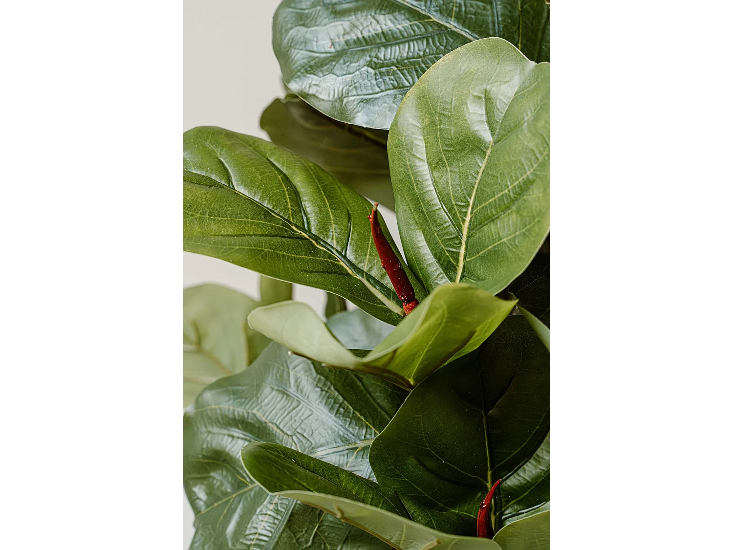 Plante artificielle Figuier 90 cm - Vert - Feuillage réaliste sans entretien - Indore Home
