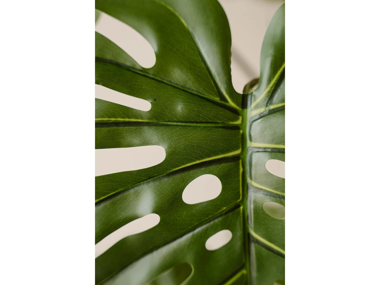 Kunstplant Monstera 160 cm - groen - realistische bladeren zonder onderhoud - Indore Home
