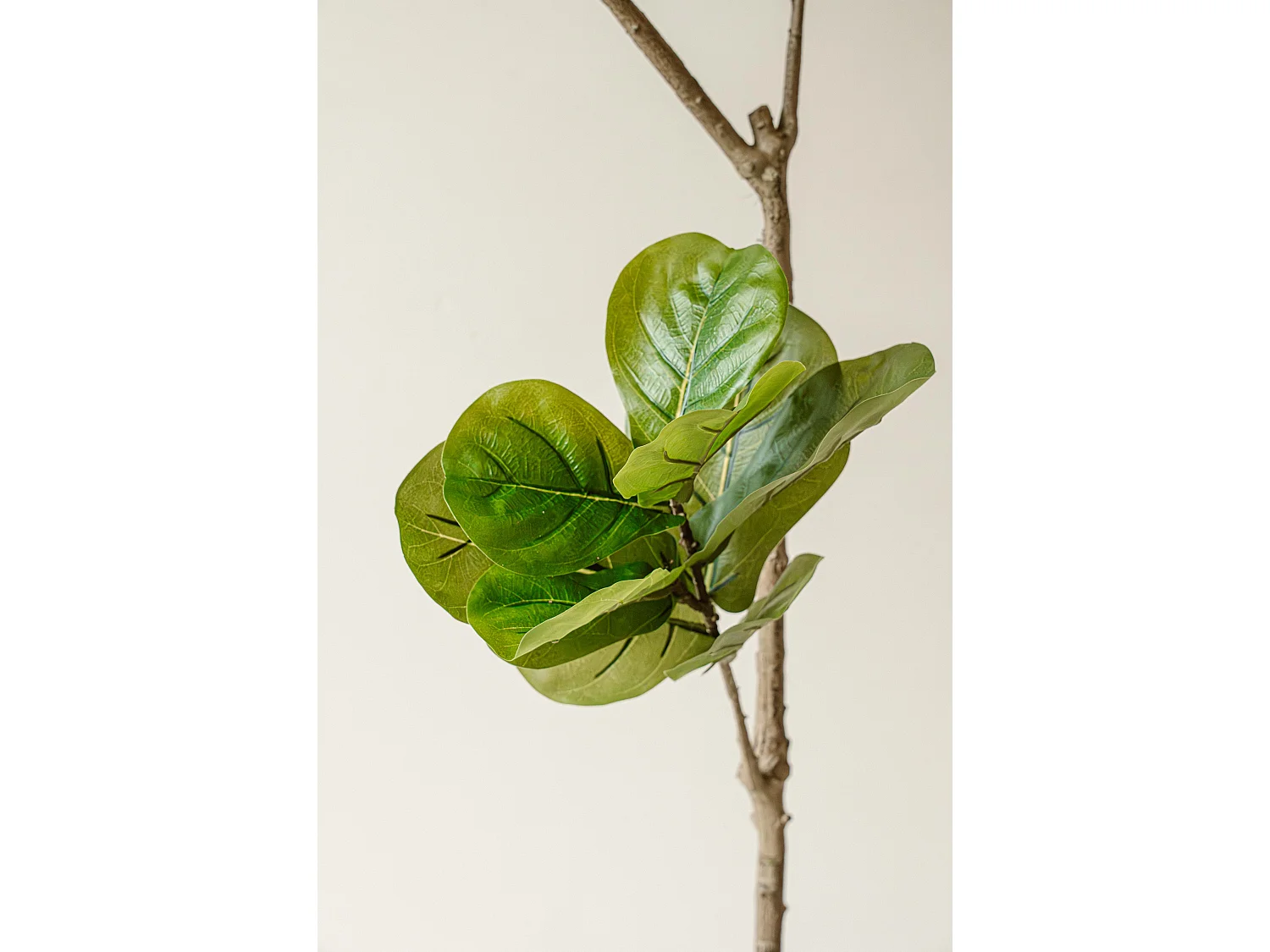 Plante artificielle Figuier 190 cm - Vert - Feuillage réaliste sans entretien - Indore Home