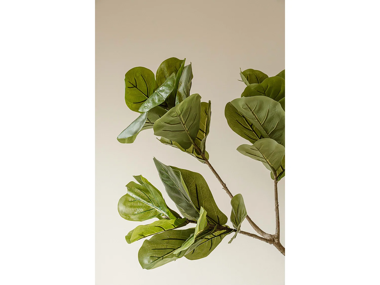 Plante artificielle Figuier 190 cm - Vert - Feuillage réaliste sans entretien - Indore Home