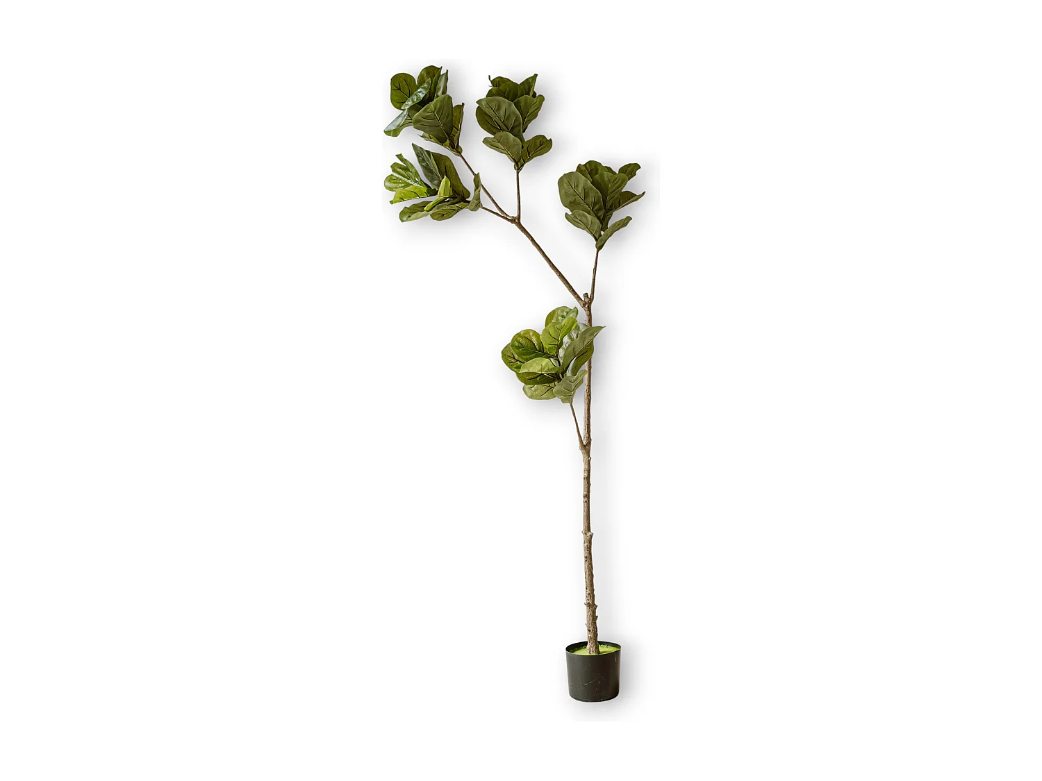 Plante artificielle Figuier 190 cm - Vert - Feuillage réaliste sans entretien - Indore Home