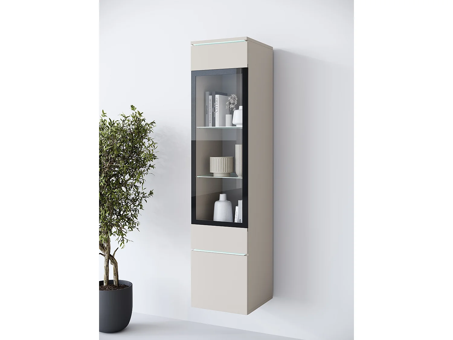 Modern Hög Vitrinskåp med LED-belysning och Glasdisplay