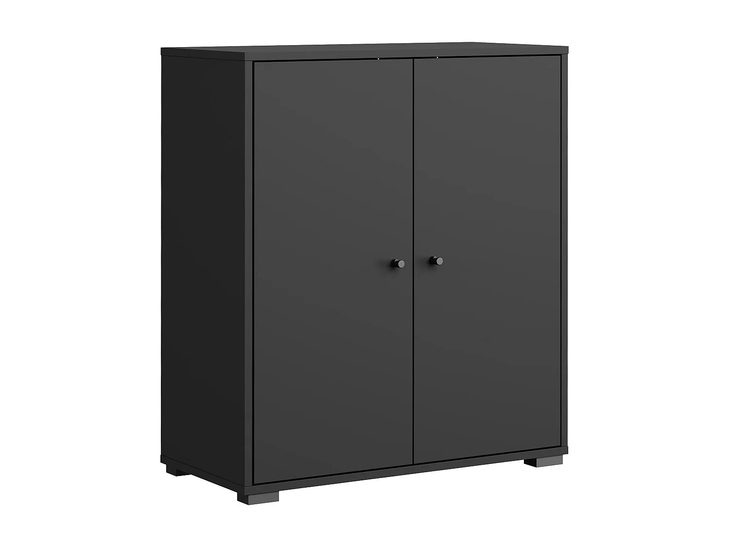 Meuble à chaussures moderne et spacieux avec portes basculantes noir