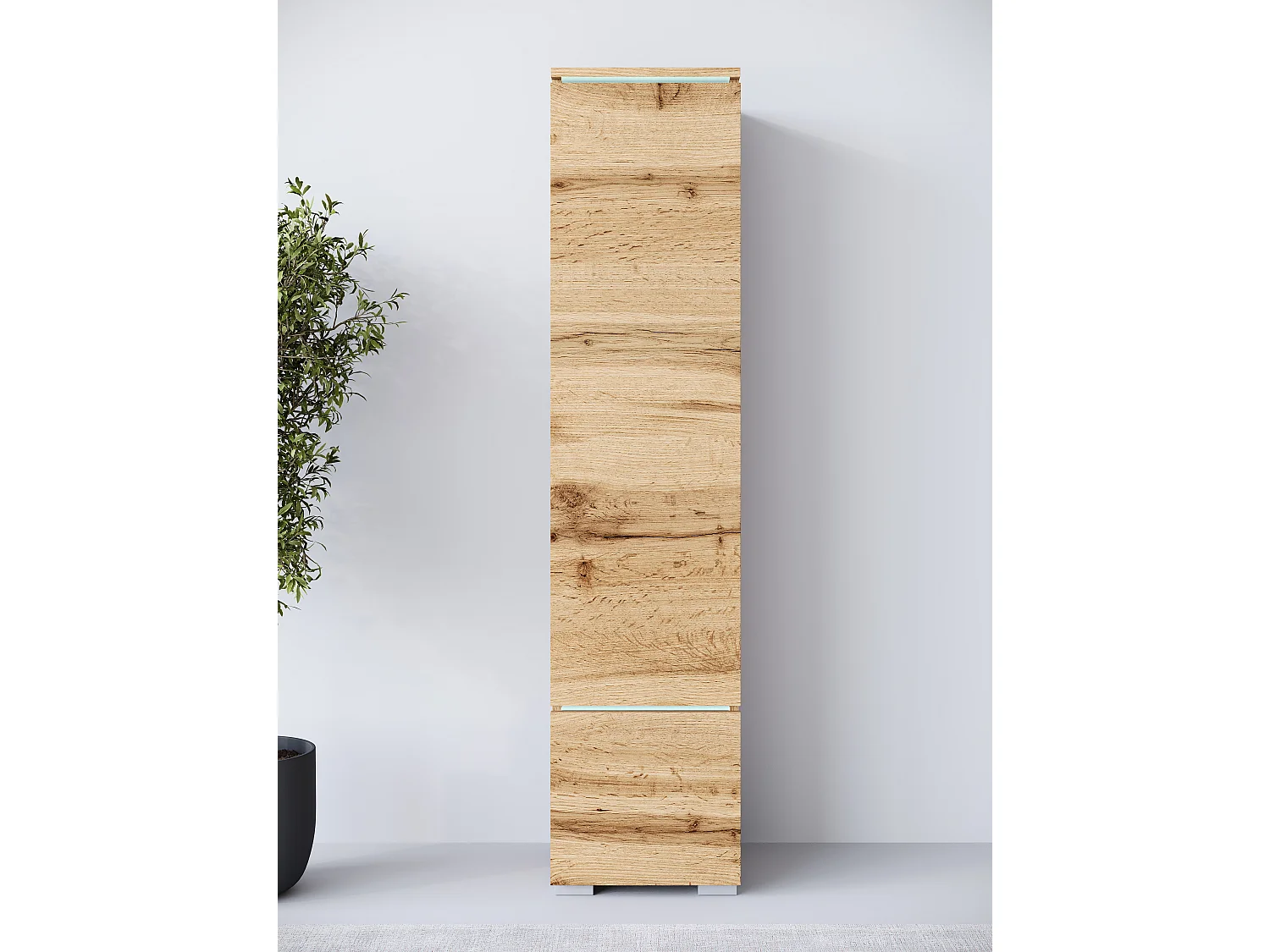 Vitrine haute moderne avec éclairage LED chêne wotan