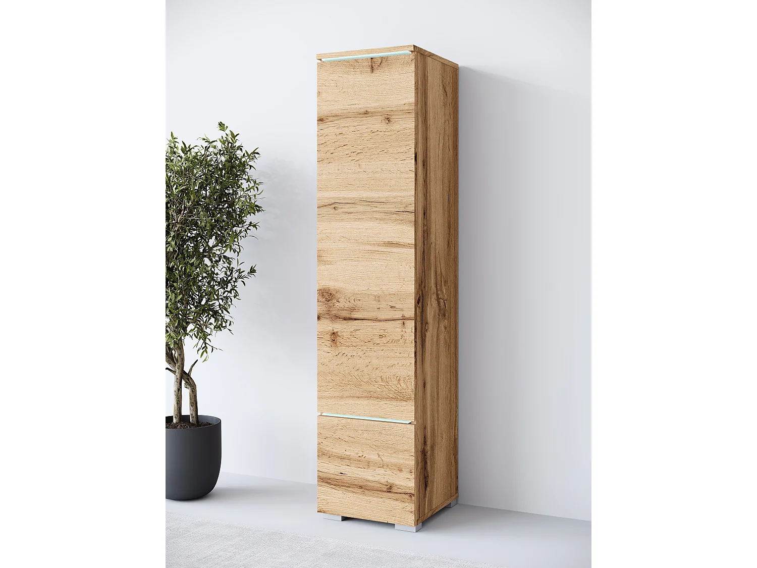 Vitrine haute moderne avec éclairage LED chêne wotan