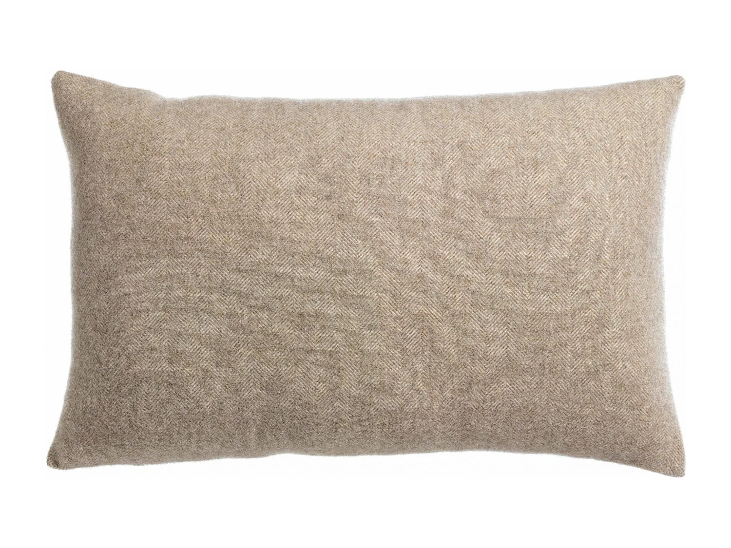 Carina Kissen Wolke 40 x 65 cm
