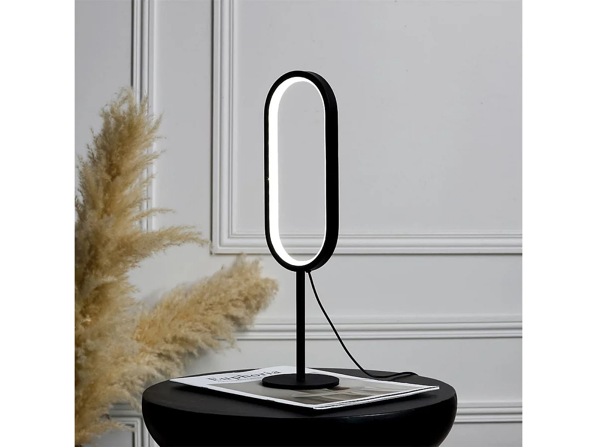 Lampe à poser led anneau 77 leds blanc chaud (H40,5cm) rechargeable USB