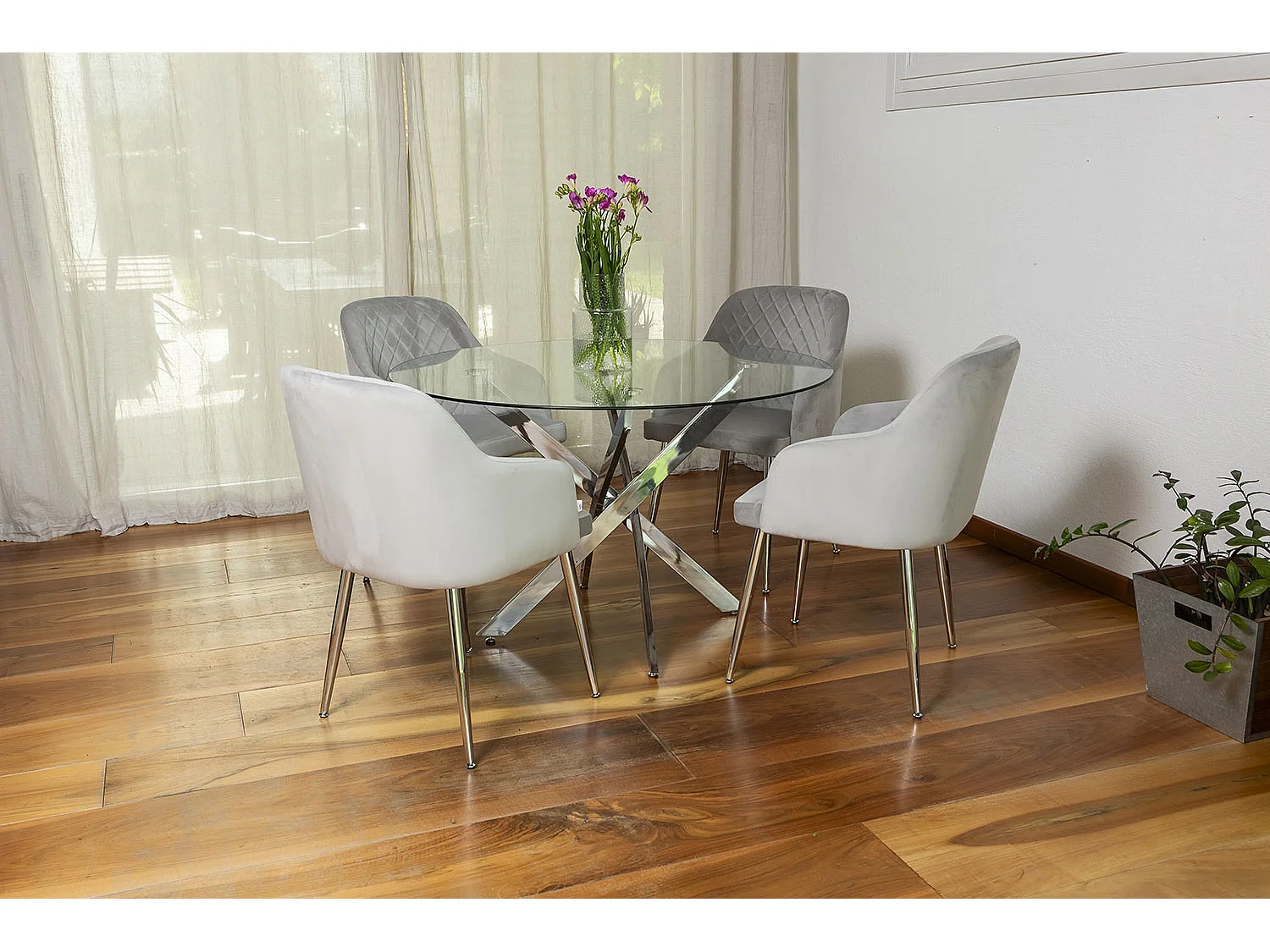 Set di 2 sedie da interno in velluto, schienale alto, gambe in metallo, ideali per cucina, sala da pranzo e ristorante – Grigio Chiaro/Argento – Tessa