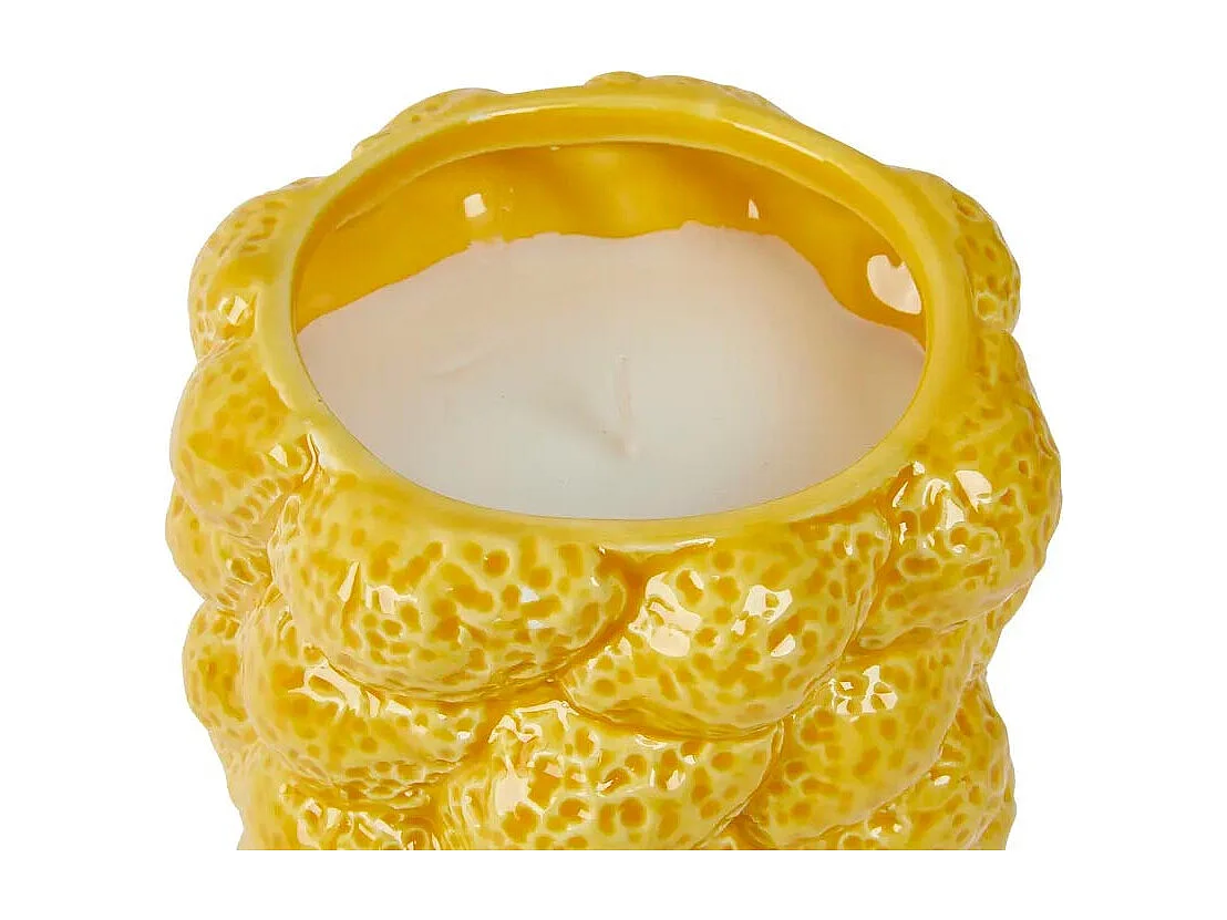Bougie Parfumée Citron en Céramique "Yucatan" 330g Agrumes