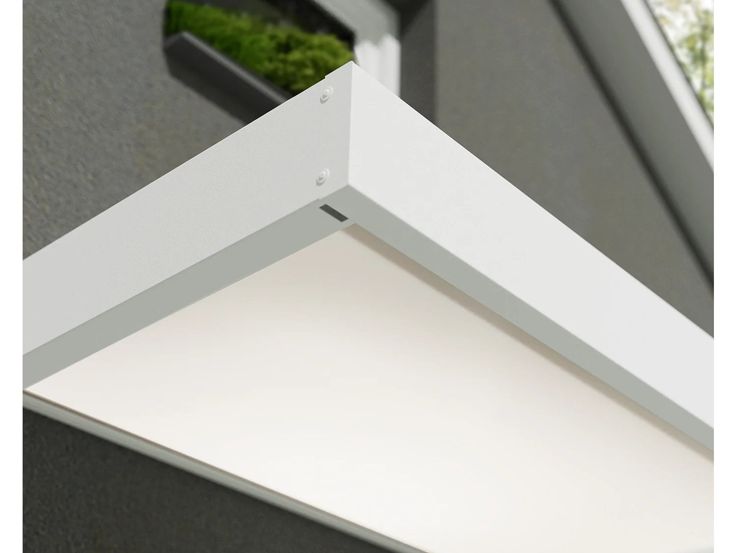 Canopia Marquise de porte Sophia 160 x 95 cm Blanc / Blanc Opale