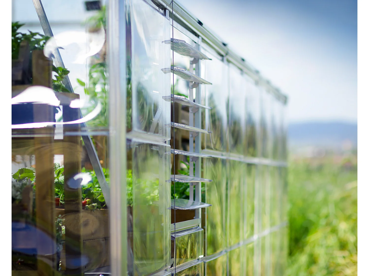 Canopia Lucarne latérale pour serre de jardin argent