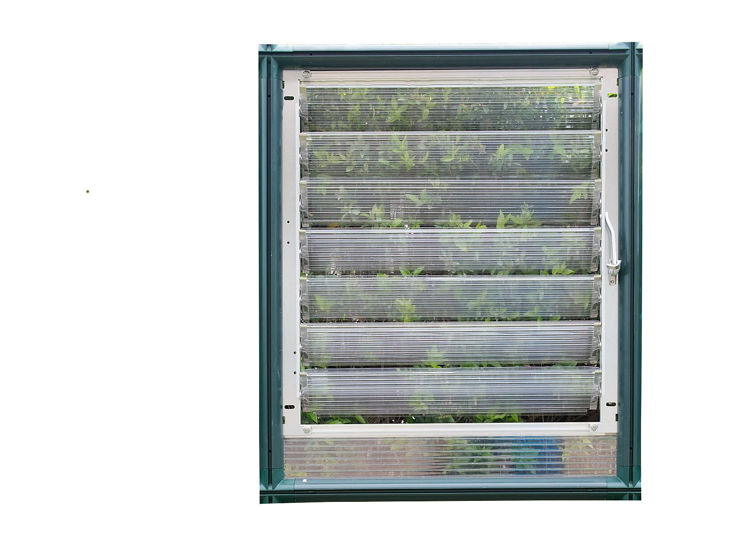 Canopia Lucarne latérale pour serre de jardin verte