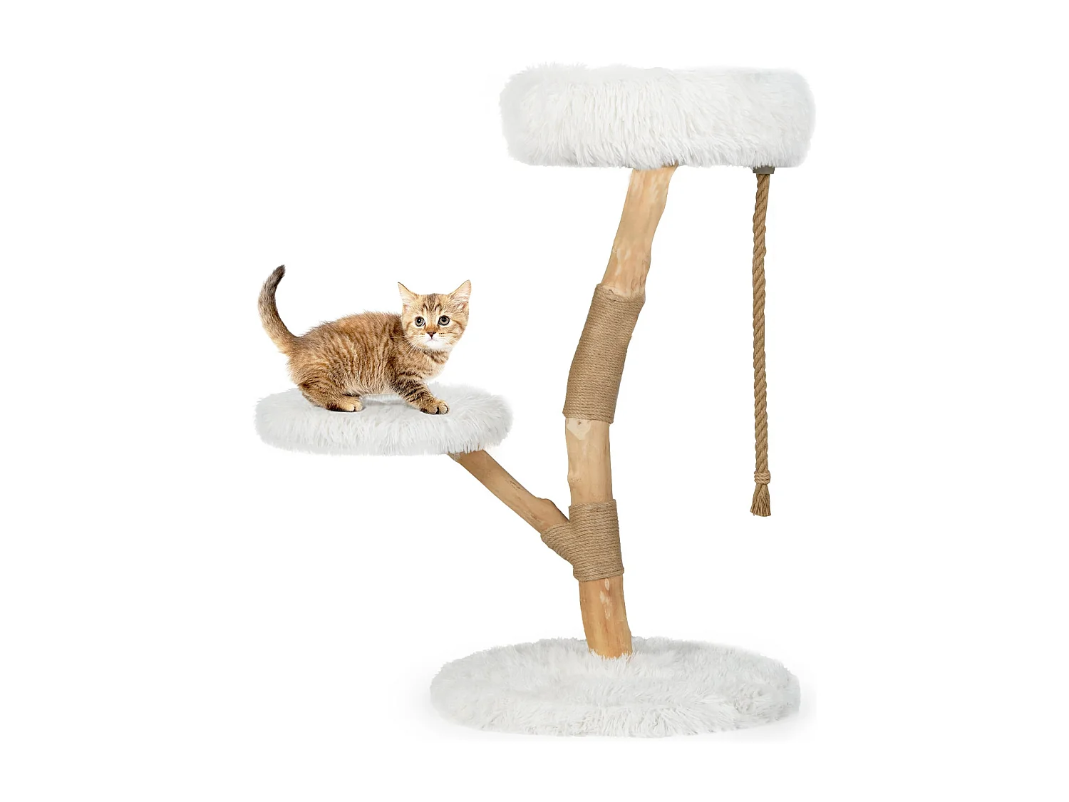 Arbre à Chat Tour en Bois pour Chat avec Perchoir Centre d'Activité en Bois Massif pour Chat avec Poteaux à Gratter Corde en Jute Doux Blanc