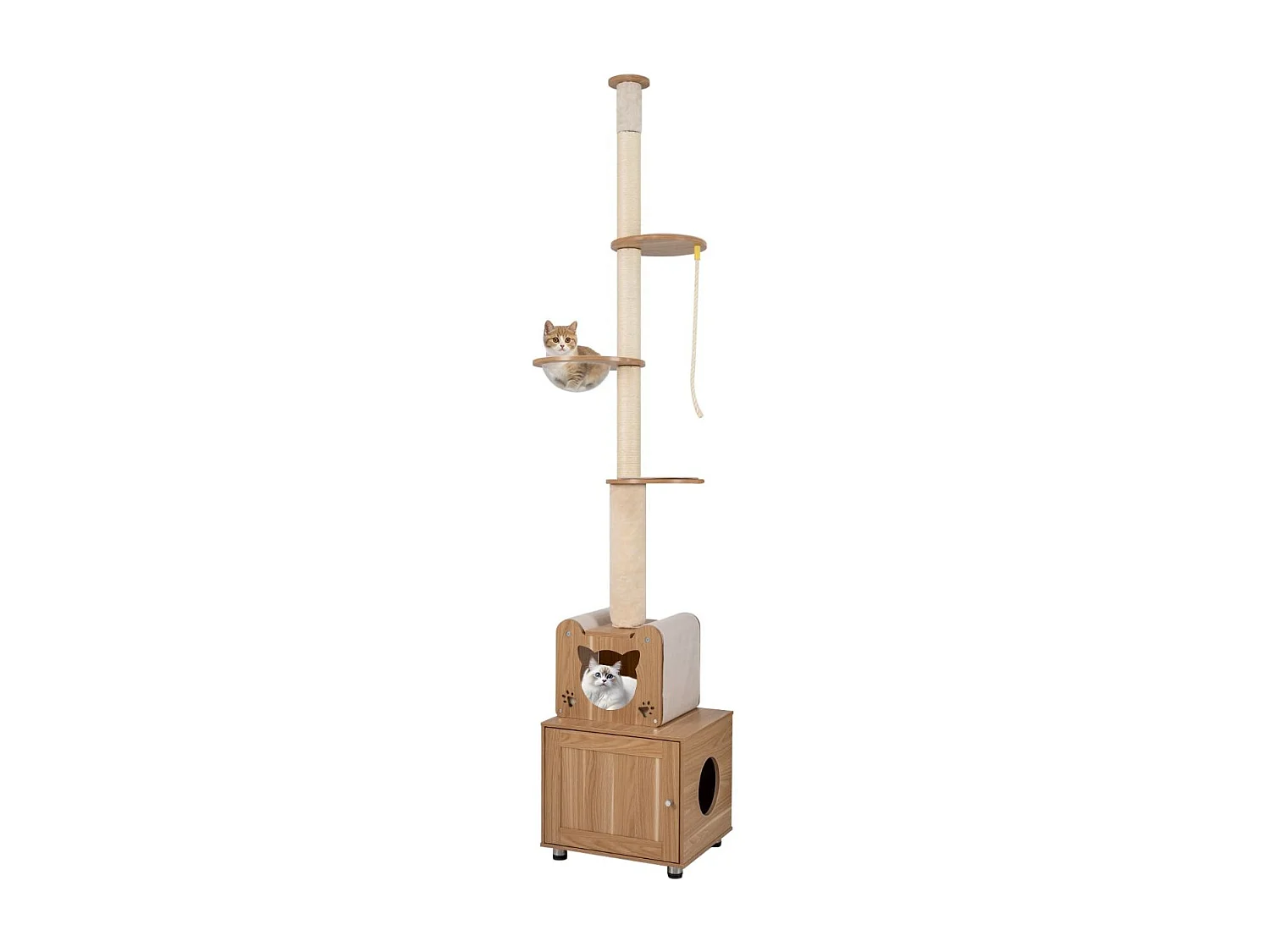 Arbre à chat du sol au plafond Arbre à chat avec maison pour chats Arbre à grimper