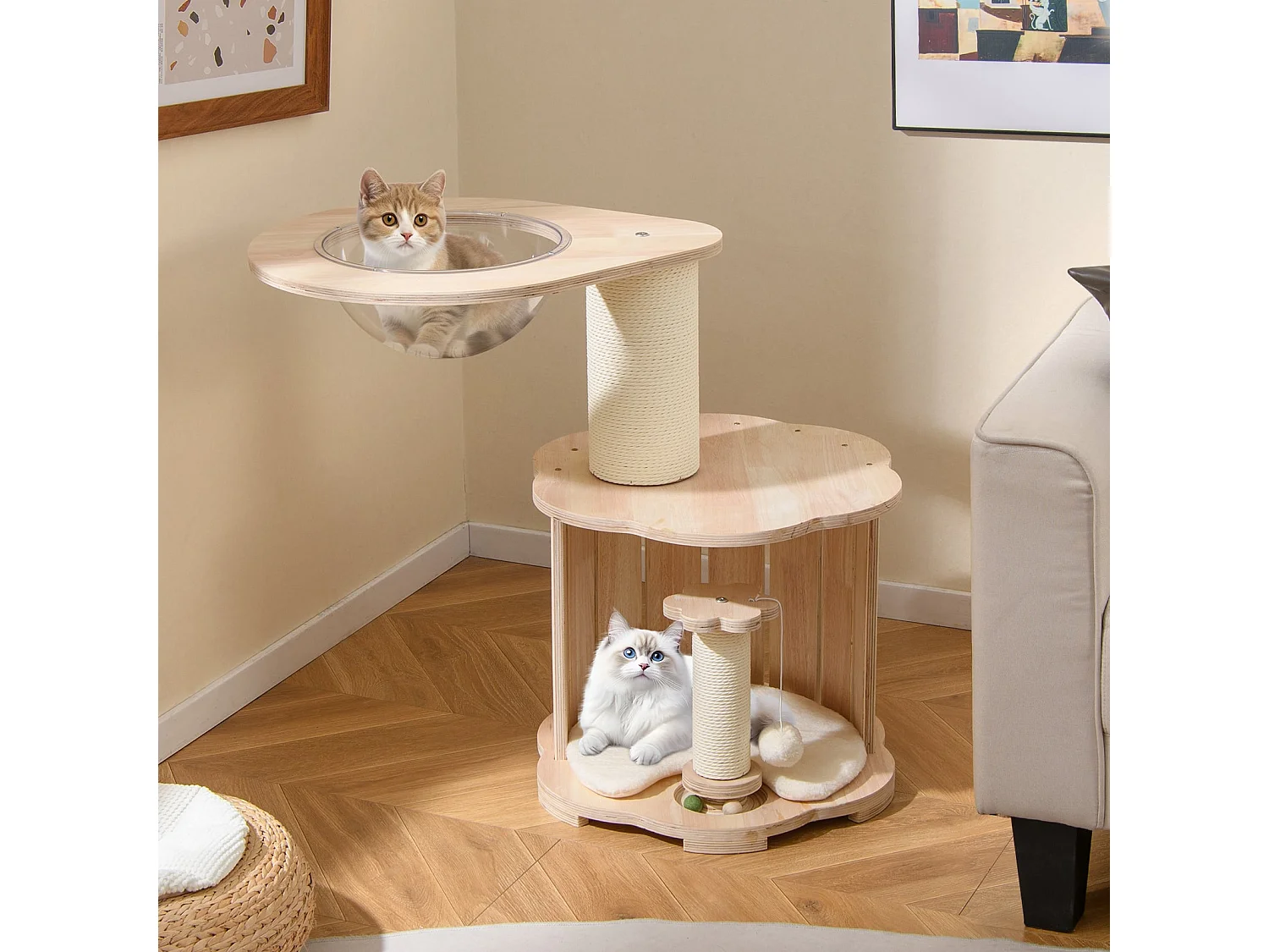 Arbre à Chat en Bois Tour pour Chaton à 3 Niveaux avec Condo Capsule Spatiale Poteaux à Griffer Piste à Billes en Bois Interactive Naturel