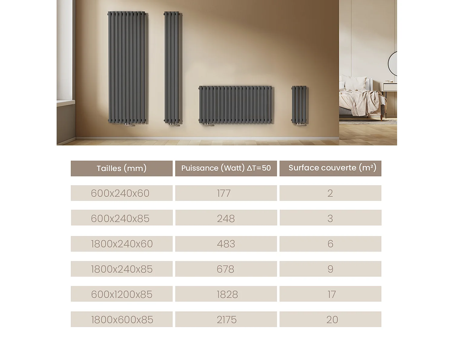 EMKE Radiateur eau chaude vertical Anthracite acier H. 60 x L. 24 cm 177 W raccordement central