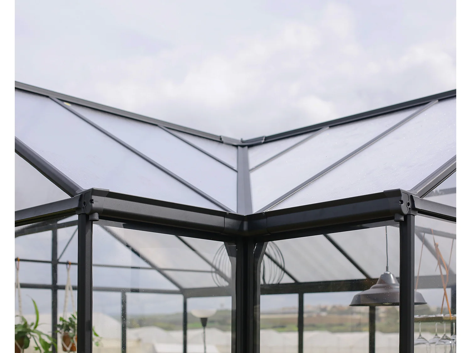 Canopia Serre de jardin Triomphe 11,5m² Noir