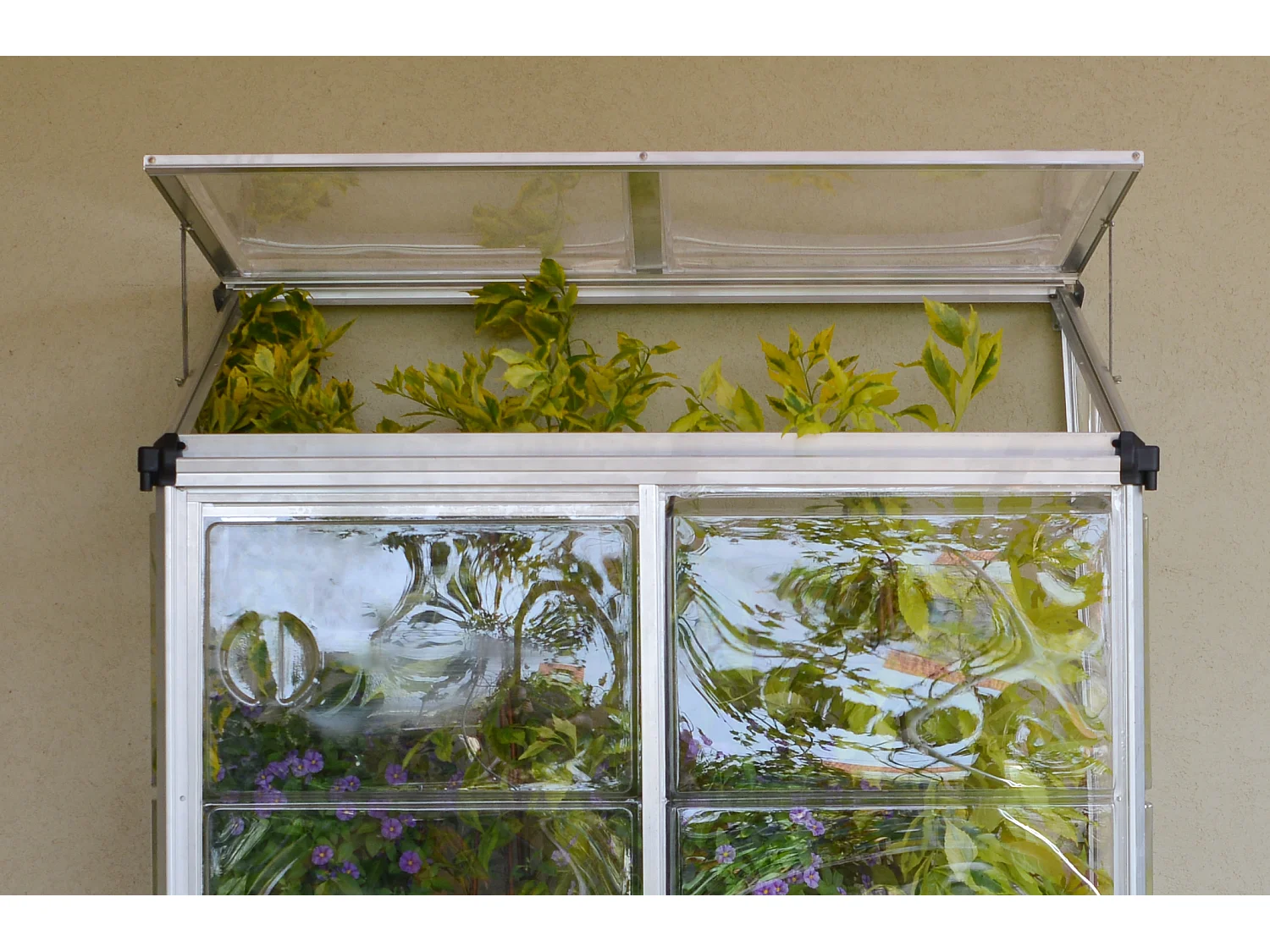 Canopia Lean To Serre de jardin adossée