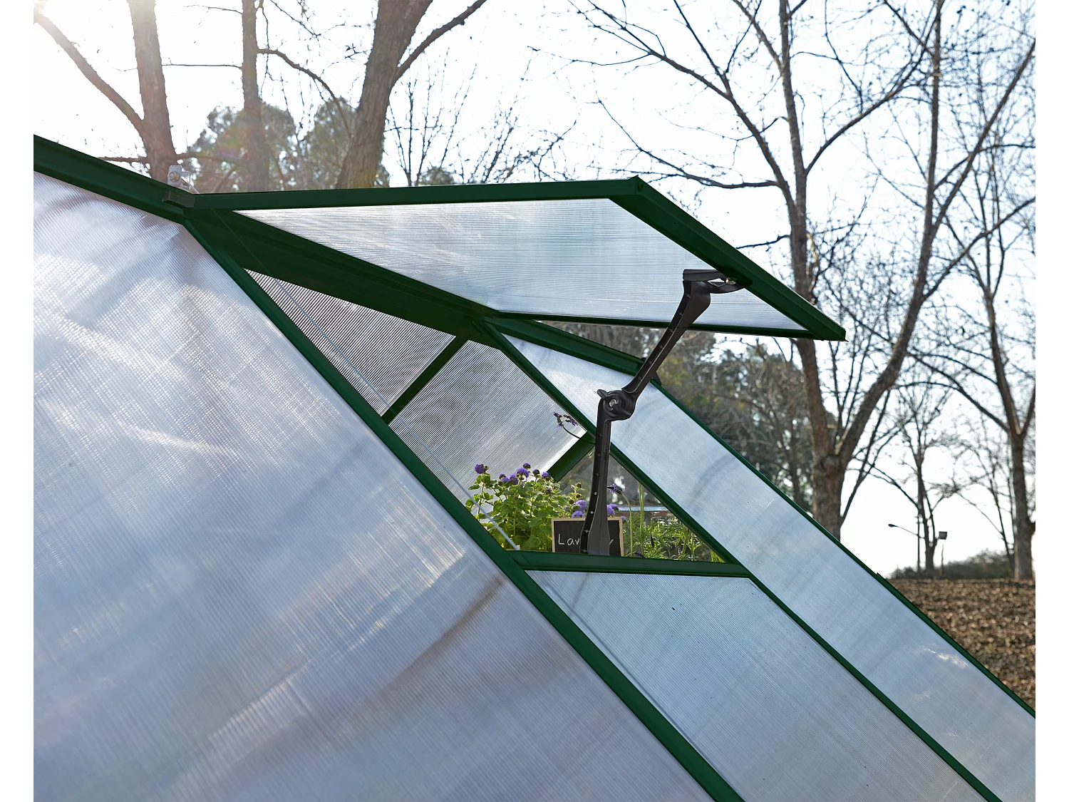 Canopia Balance Serre de jardin