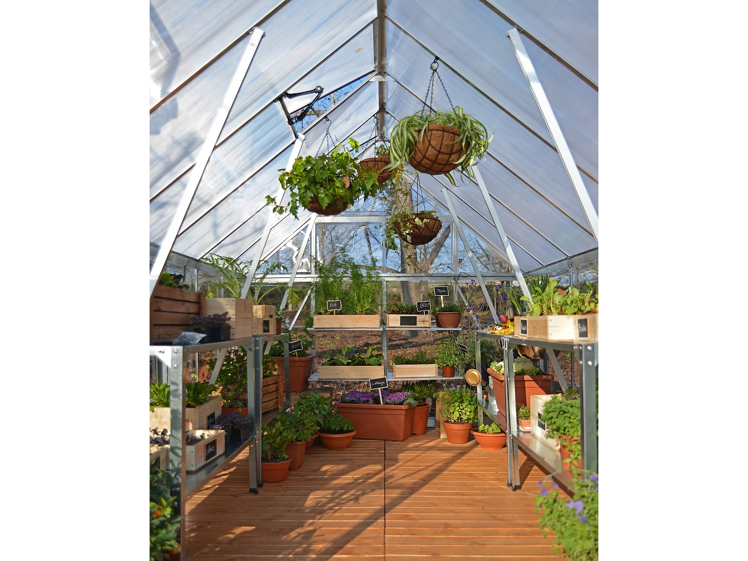 Canopia Balance Serre de jardin