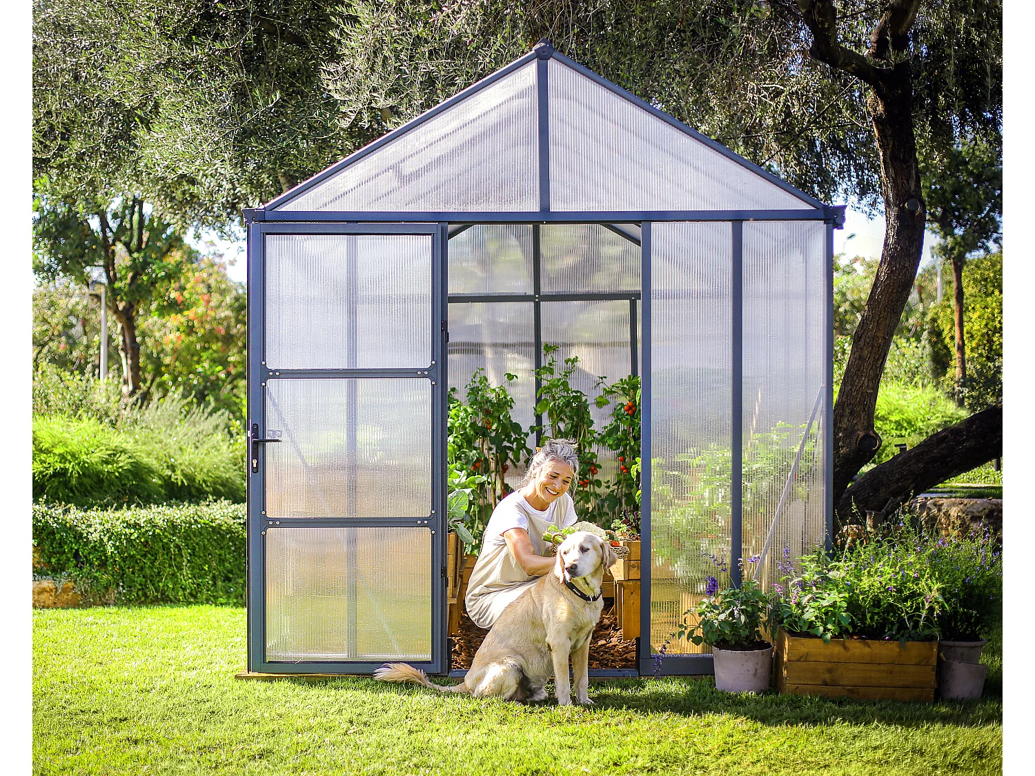 Canopia Glory Serre de jardin