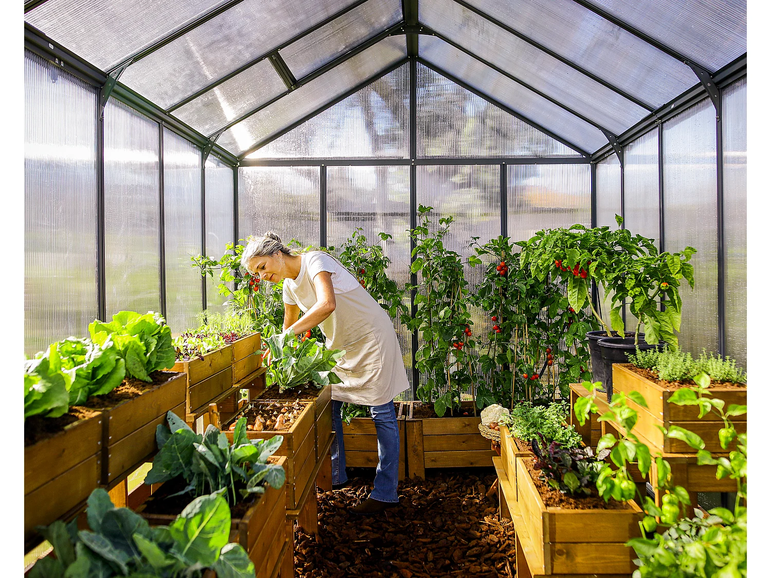 Canopia Glory Serre de jardin