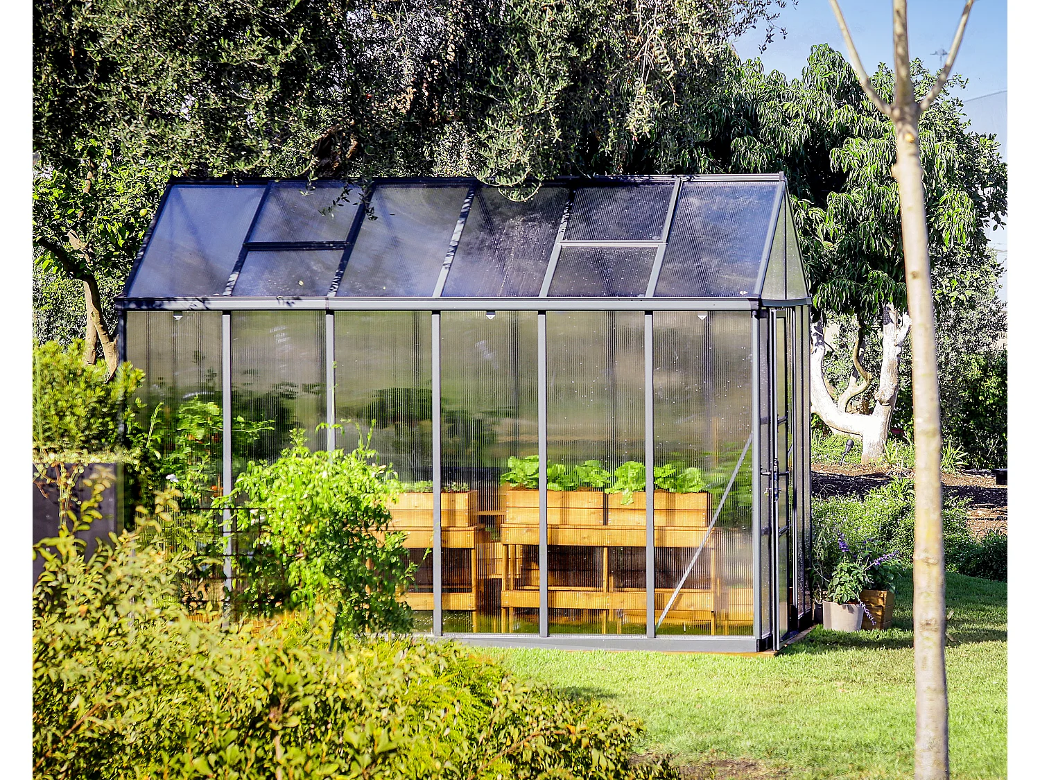 Canopia Glory Serre de jardin