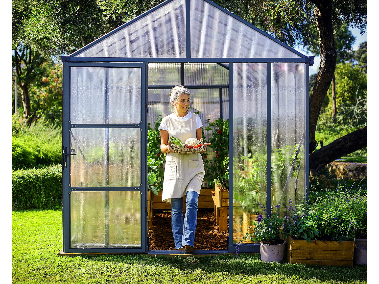 Canopia Glory Serre de jardin