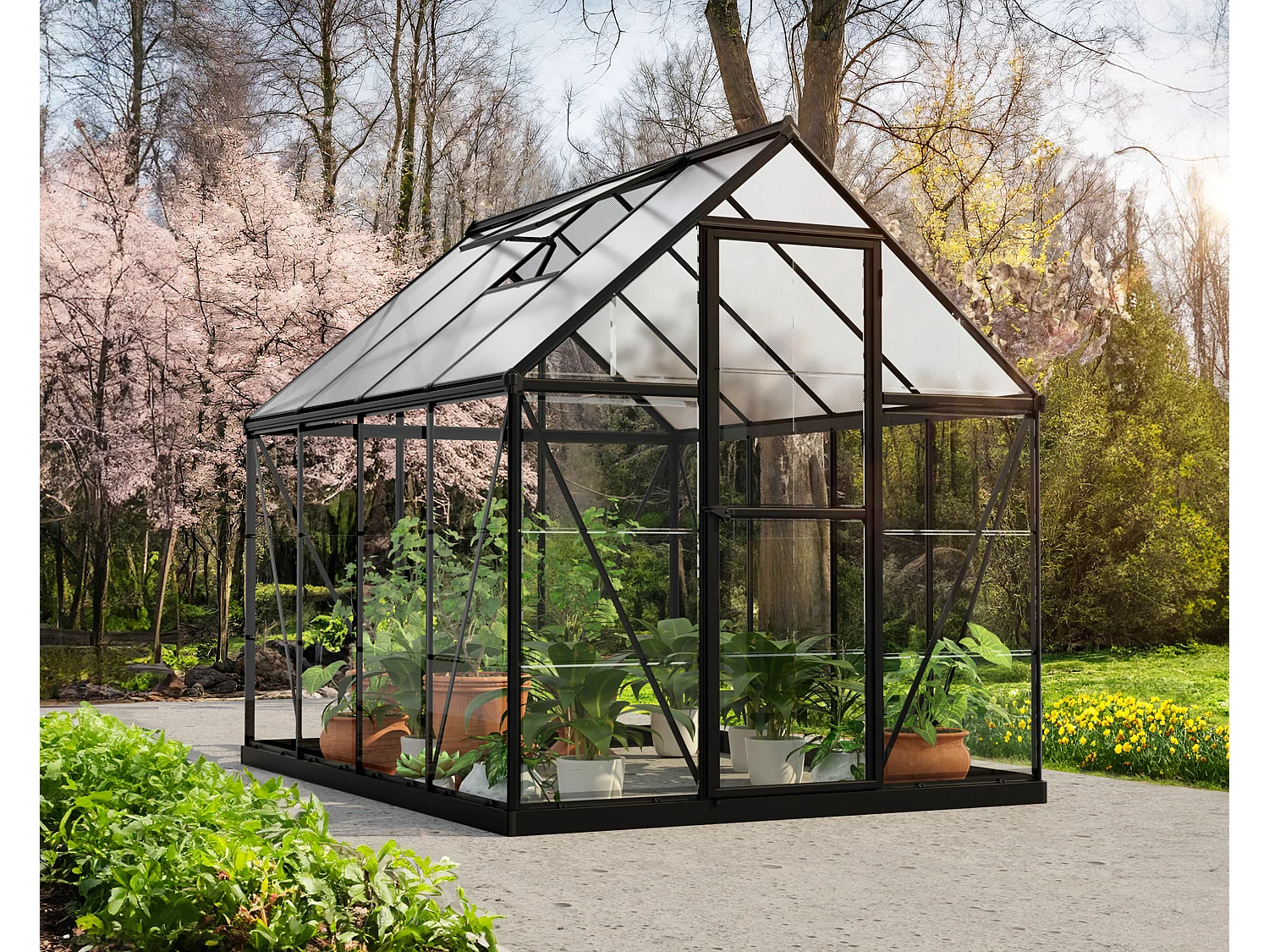 Canopia Serre de jardin Hybrid 4,6m² Noir