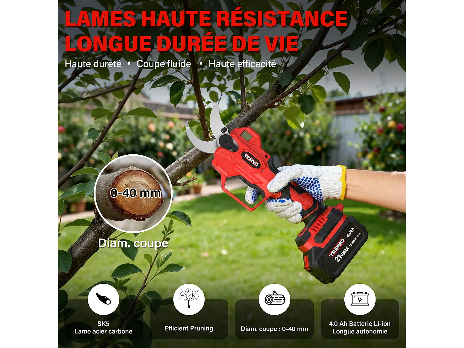 2-in-1 tuingereedschapsset: 6 inch draadloze minizaag + 40 mm draadloze elektrische snoeischaar,