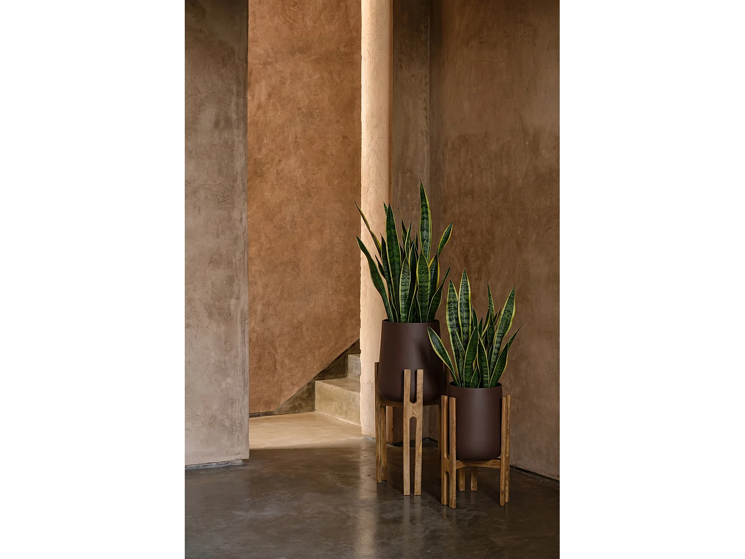 Le Cache-Pot Forked Root - Brun Naturel - L