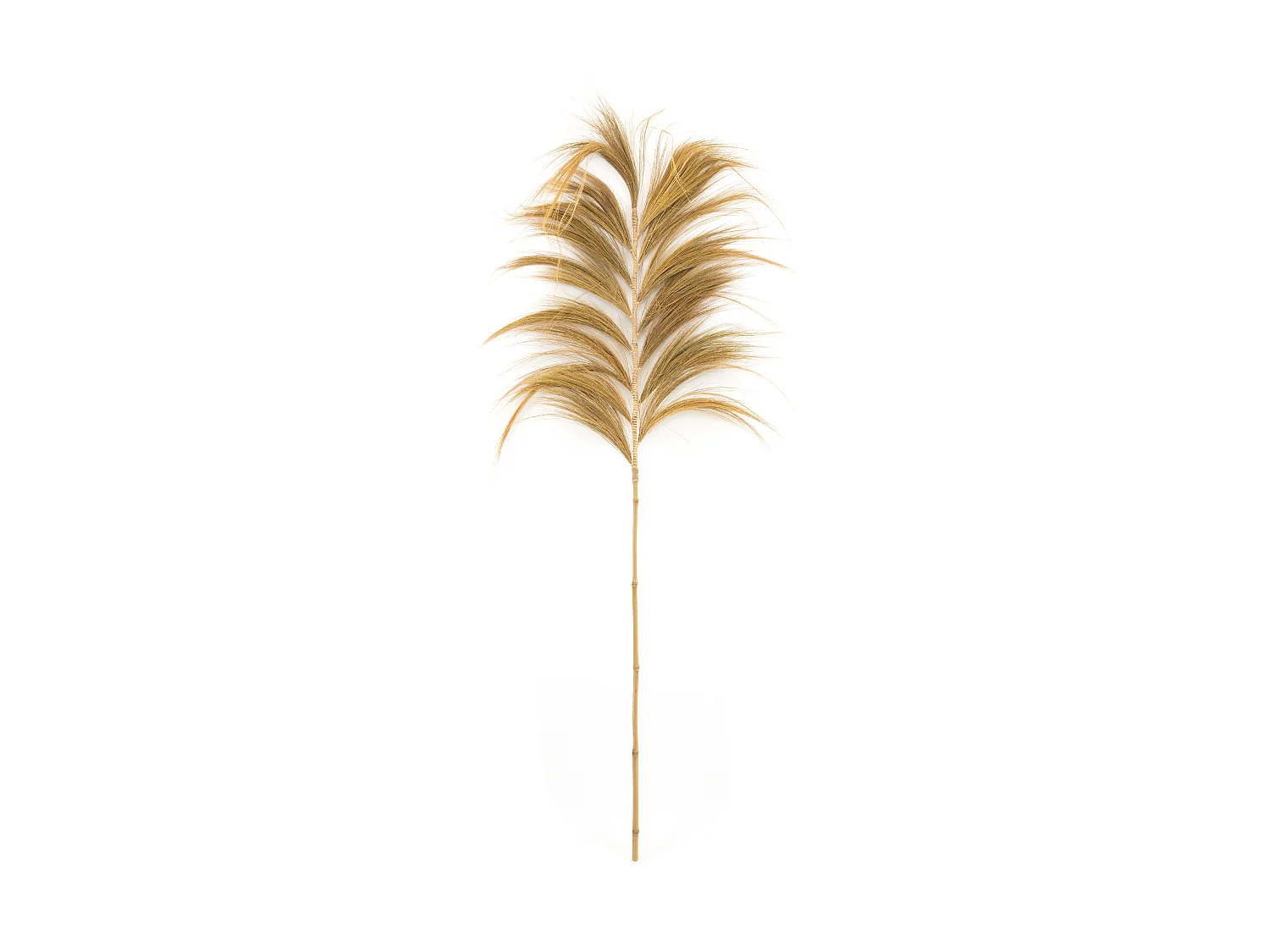 De Stunning Leaf - Zand