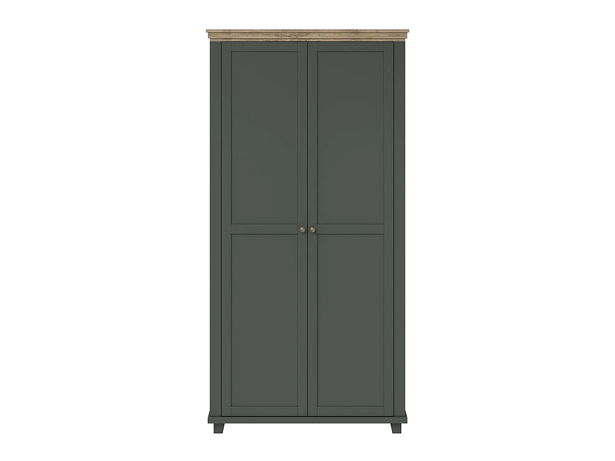 Armoire 2 portes Martin Vert et Bois